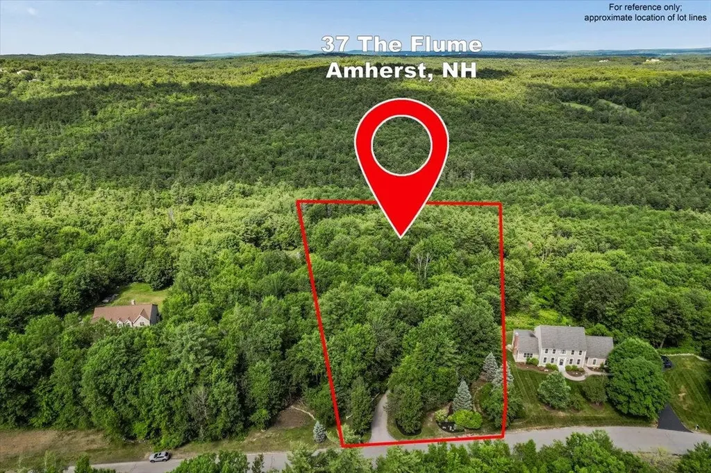 37 The Flume Amherst NH 03031