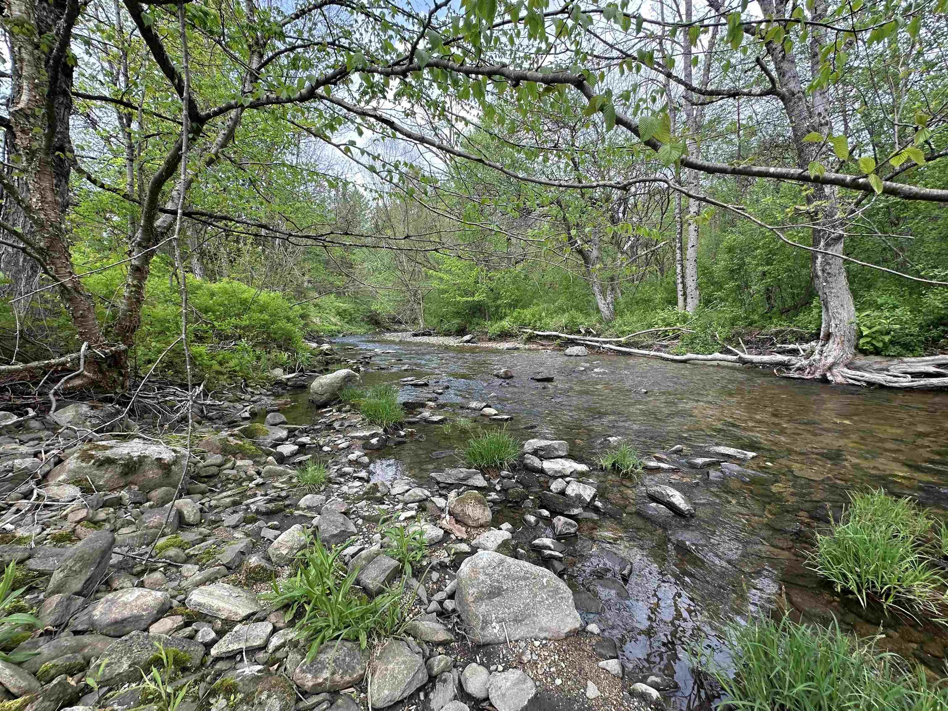 47 Vermont Route 11 Landgrove VT 05148