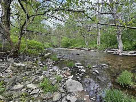 47 Vermont Route 11 Landgrove VT 05148