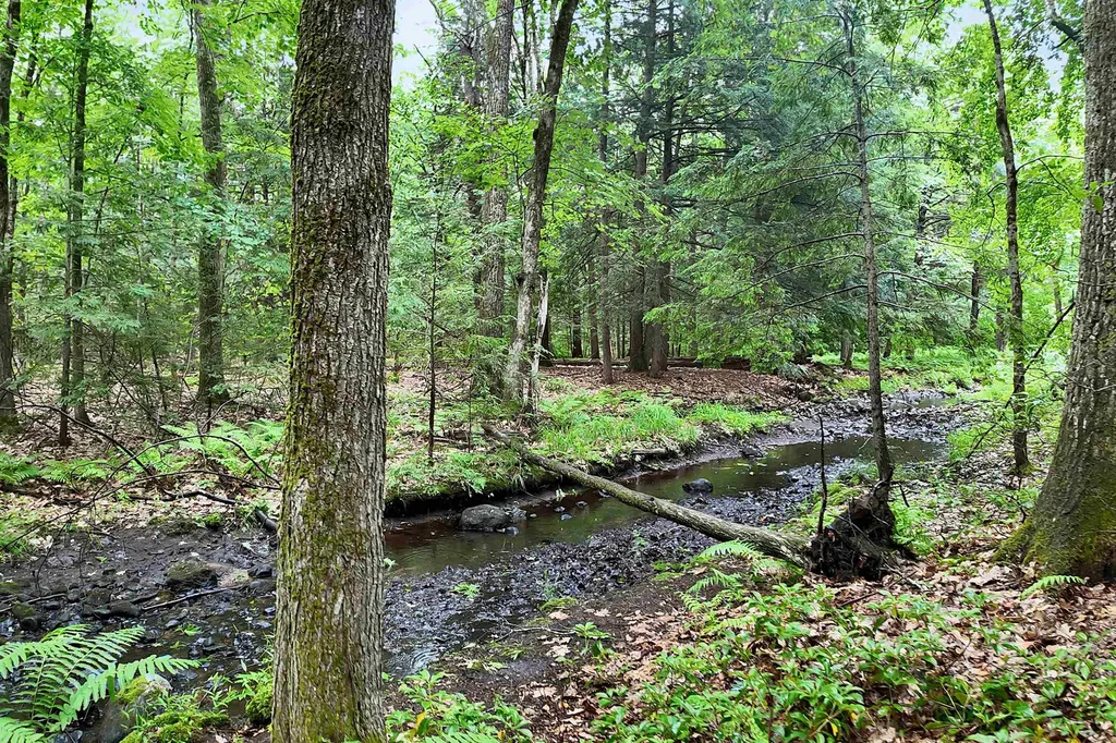 55 Dunlap Drive Bedford NH 03110
