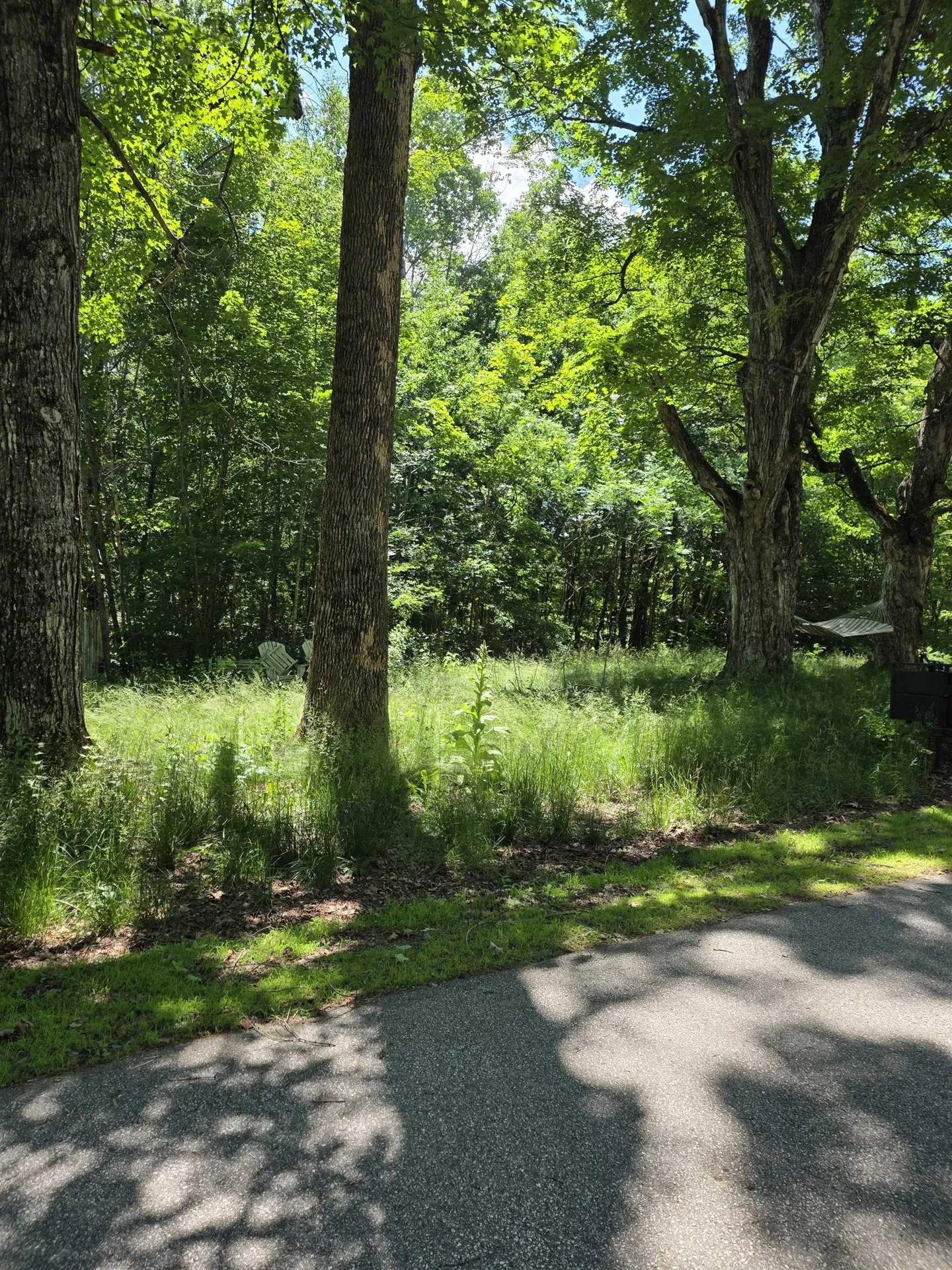 King Road Campton NH 03223