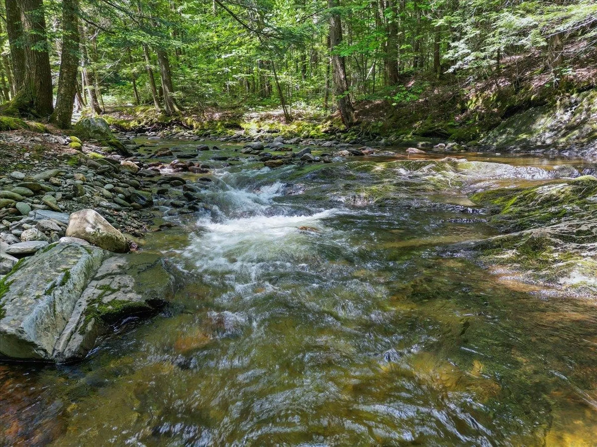 1994 Sterling Valley Road Morristown VT 05661