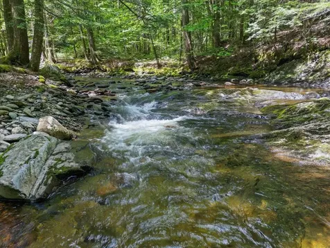 1994 Sterling Valley Road Morristown VT 05661