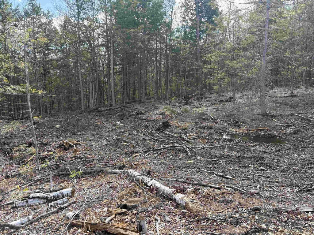 9 Sugarloaf Drive Ossipee NH 03814