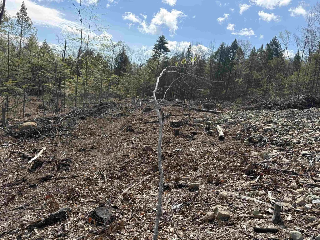 9 Sugarloaf Drive Ossipee NH 03814