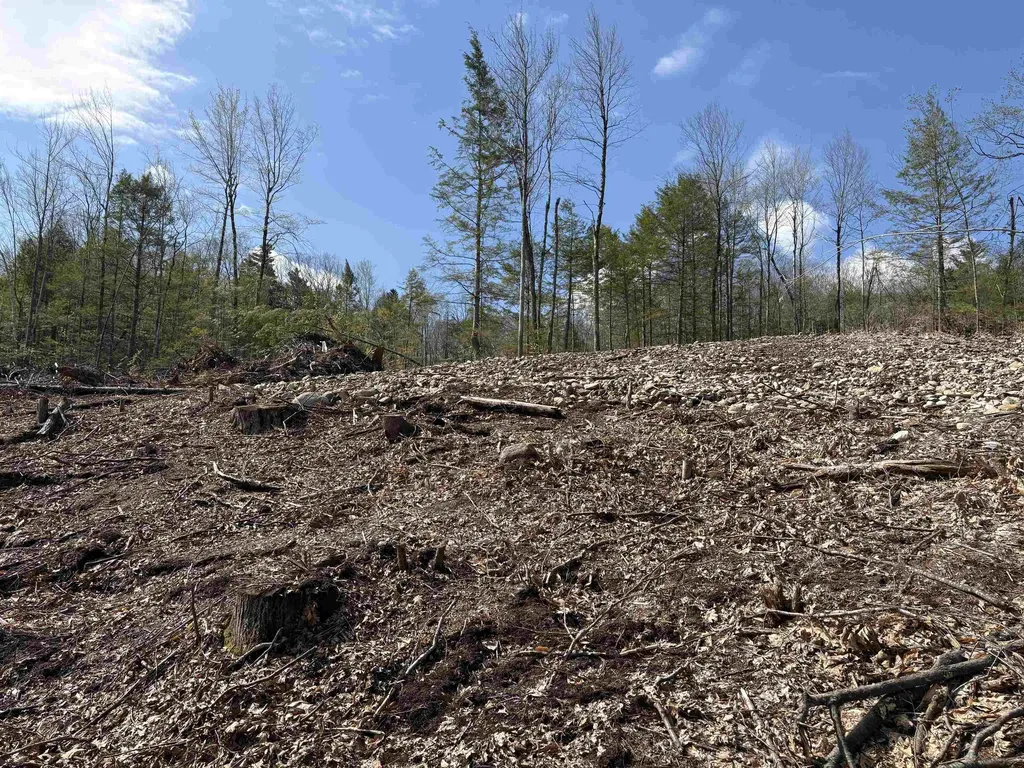 9 Sugarloaf Drive Ossipee NH 03814
