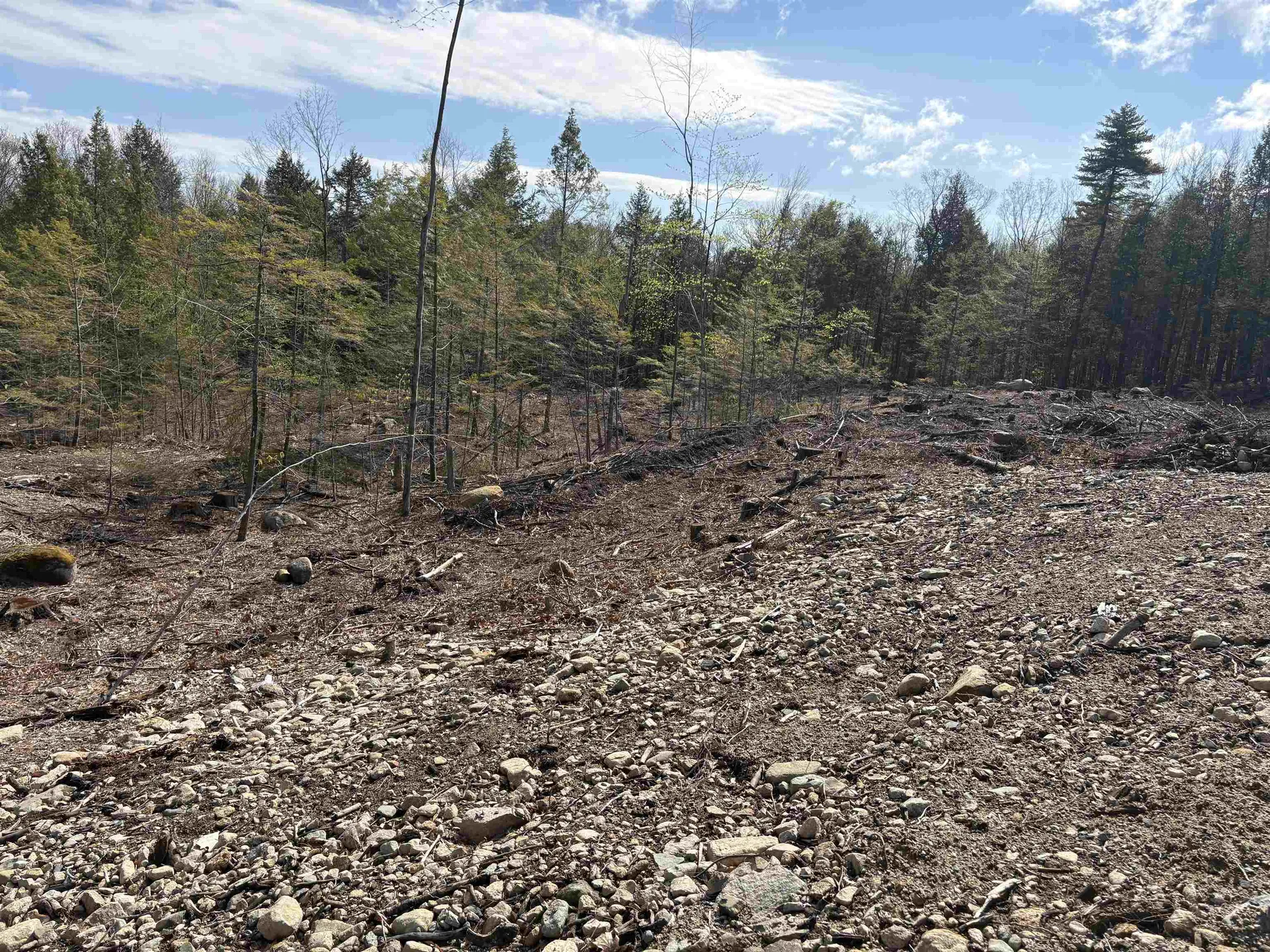 9 Sugarloaf Drive Ossipee NH 03814