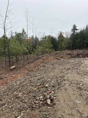 9 Sugarloaf Drive Ossipee NH 03814