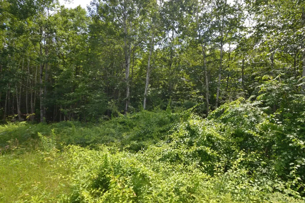 96 Lane Road Holderness NH 03245