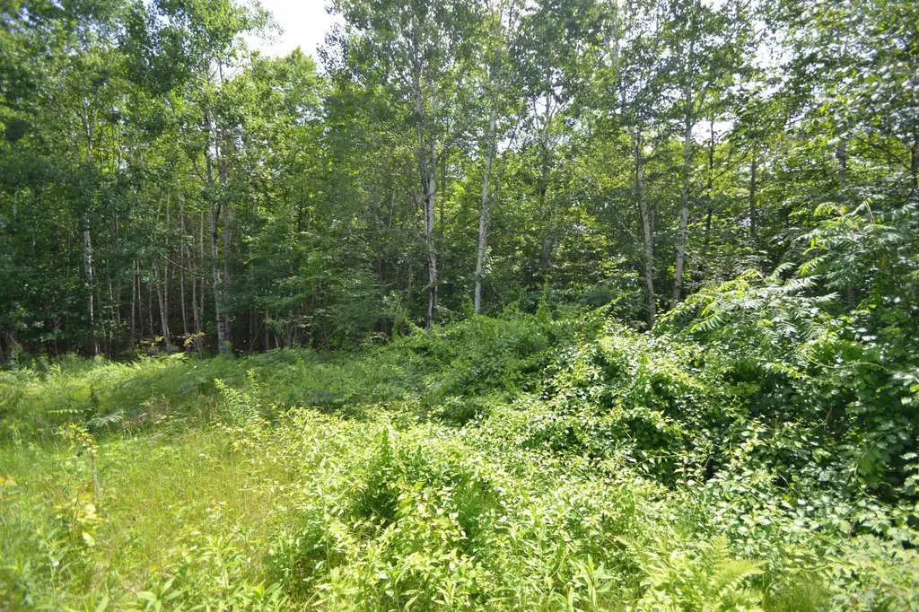 96 Lane Road Holderness NH 03245