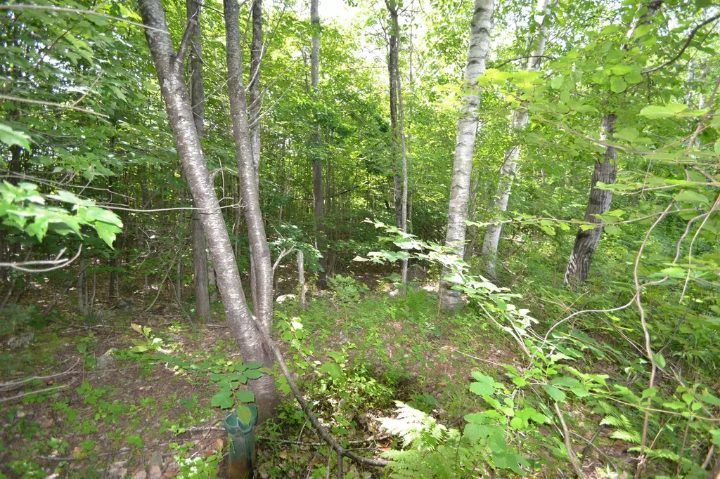 96 Lane Road Holderness NH 03245
