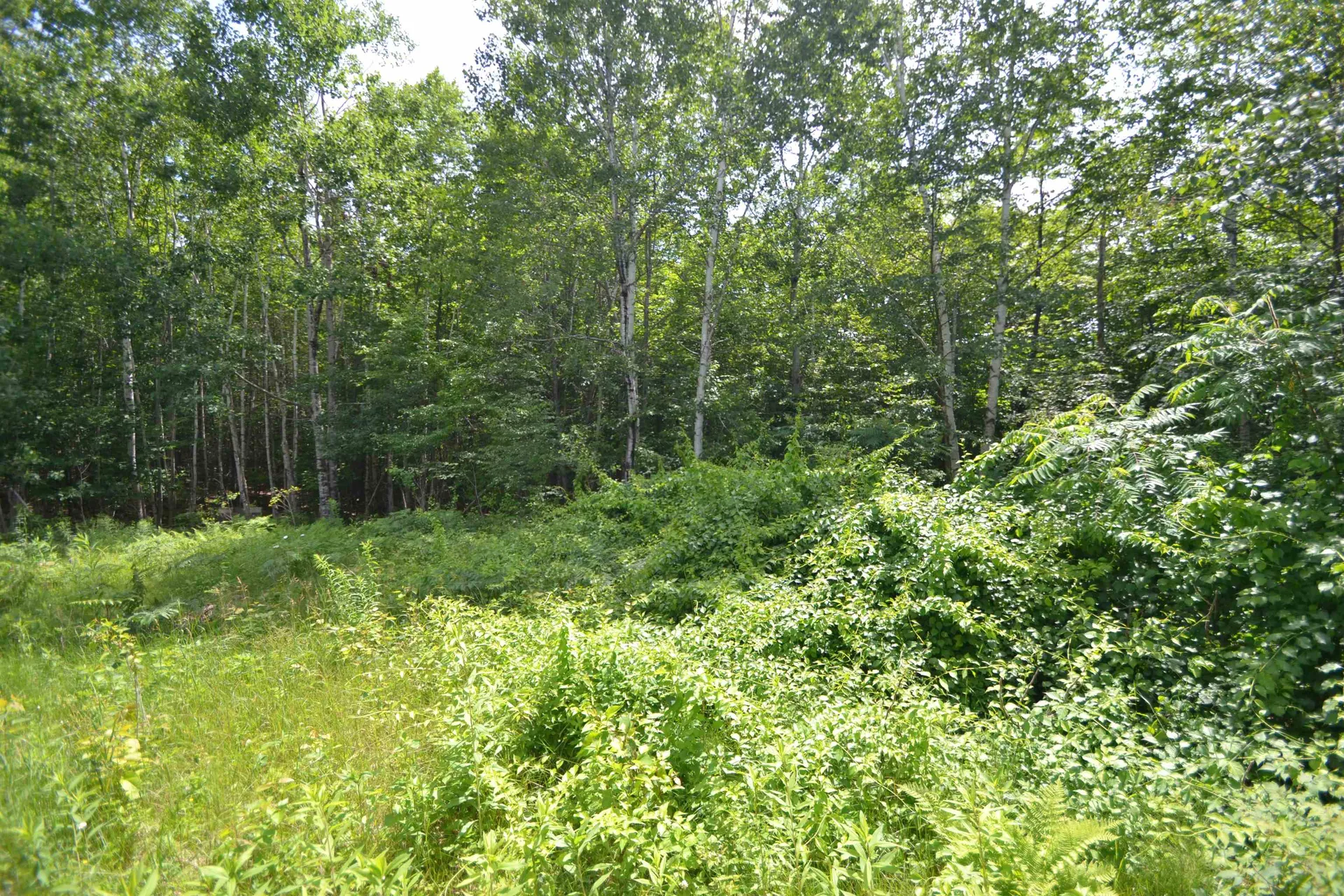 96 Lane Road Holderness NH 03245