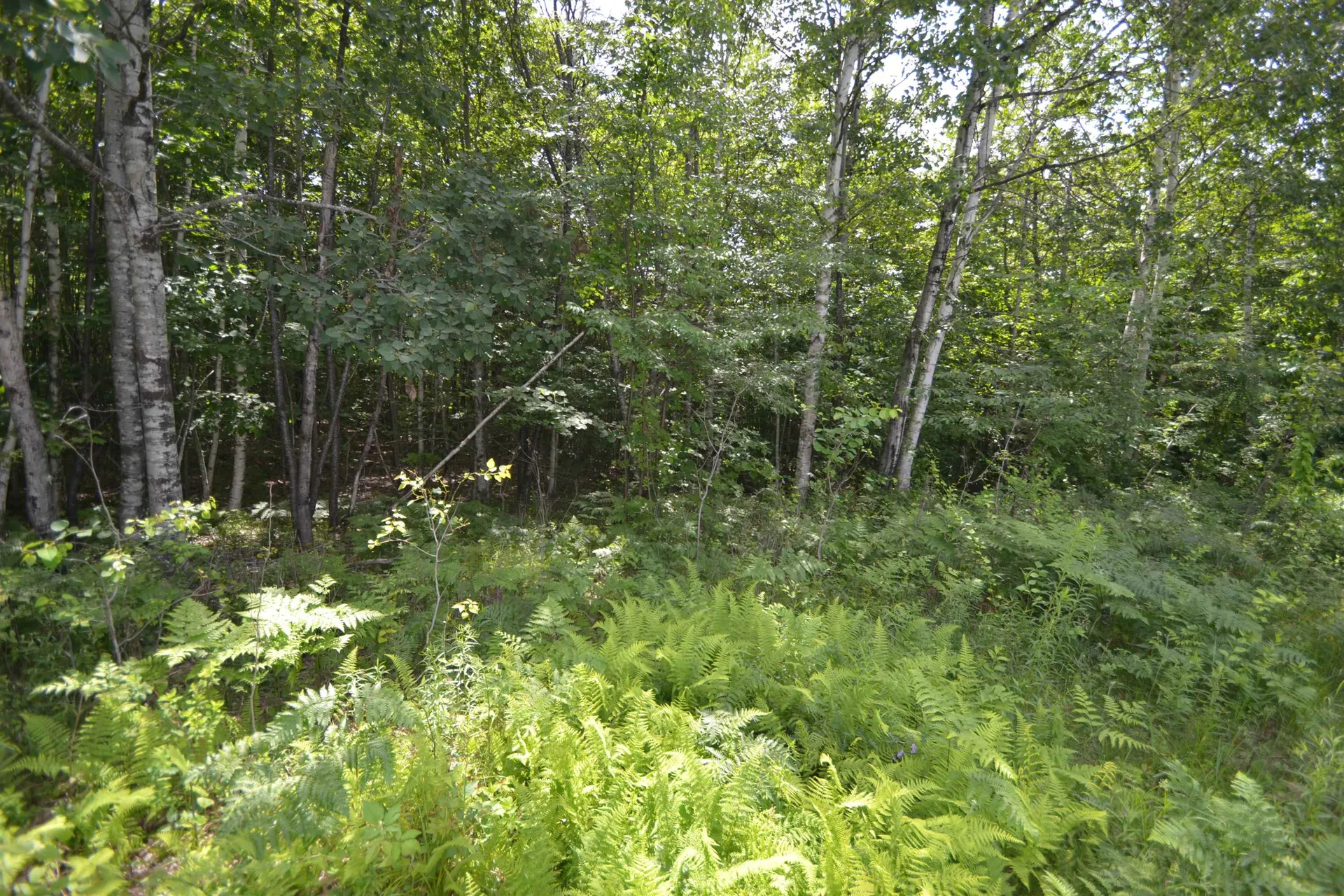 96 Lane Road Holderness NH 03245