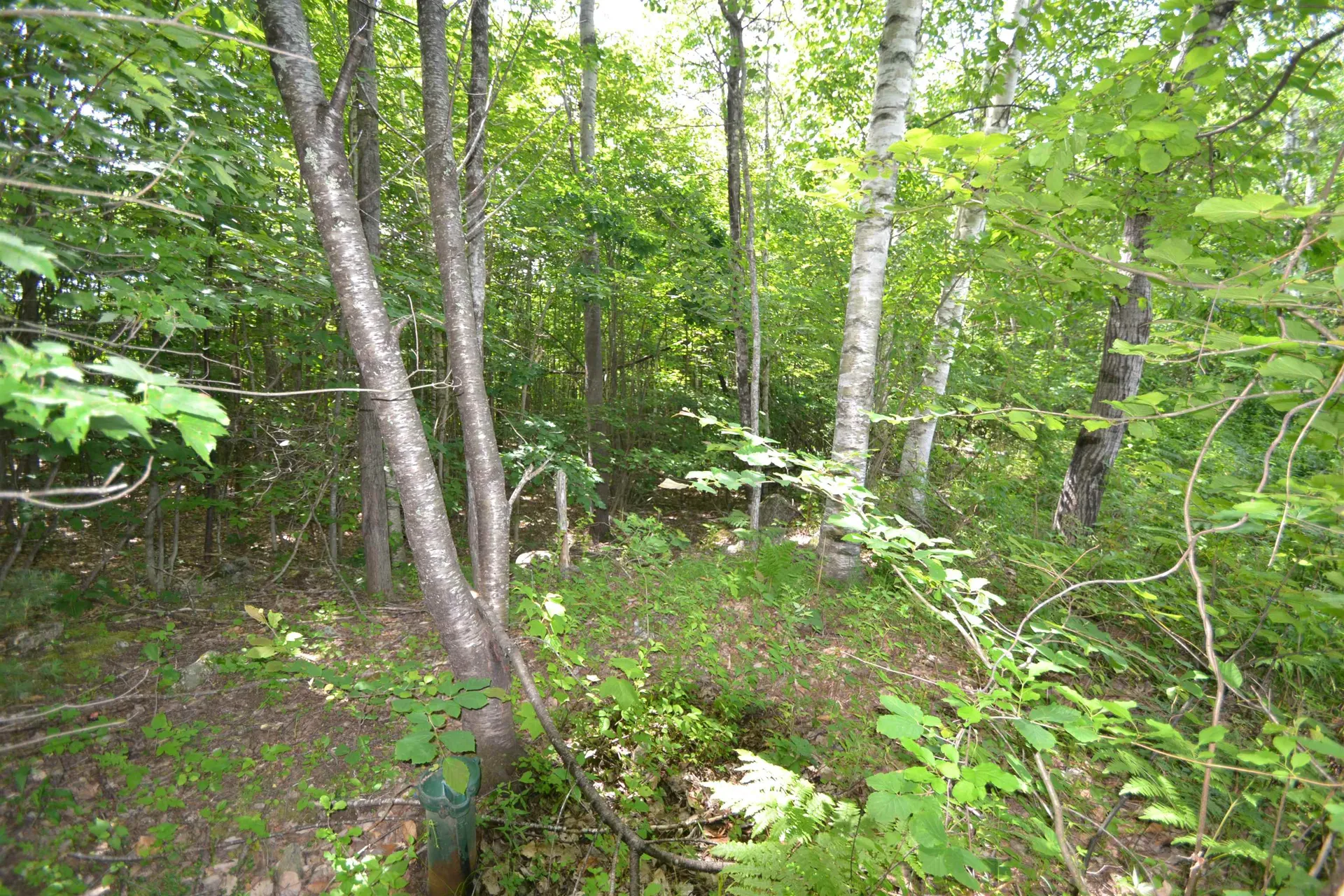 96 Lane Road Holderness NH 03245