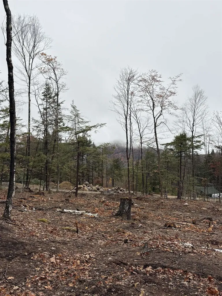 8 Sugarloaf Drive Ossipee NH 03814