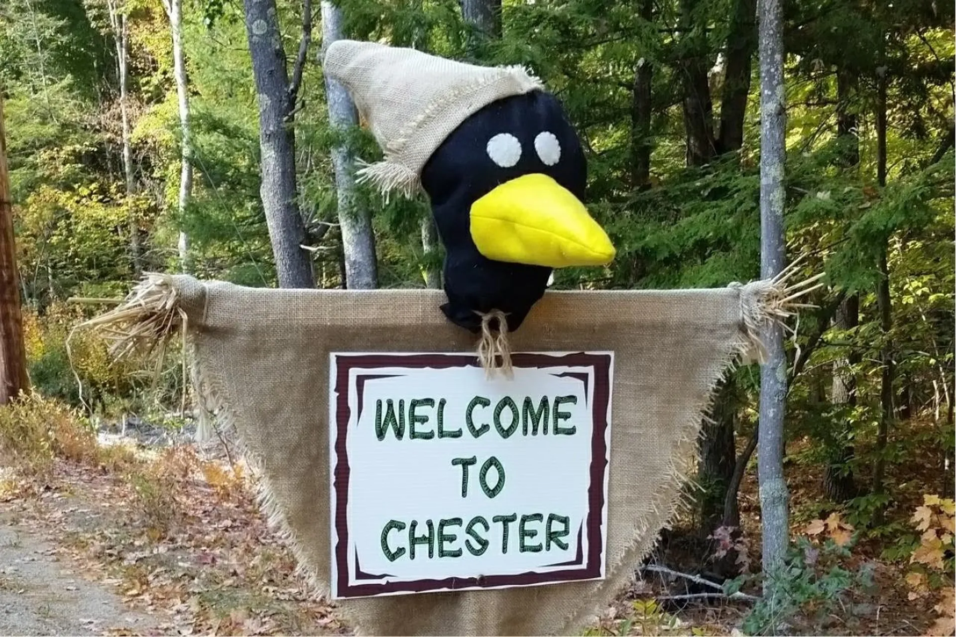224 Haverhill Road Chester NH 03036