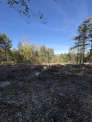 27 Sugarloaf Drive Ossipee NH 03814