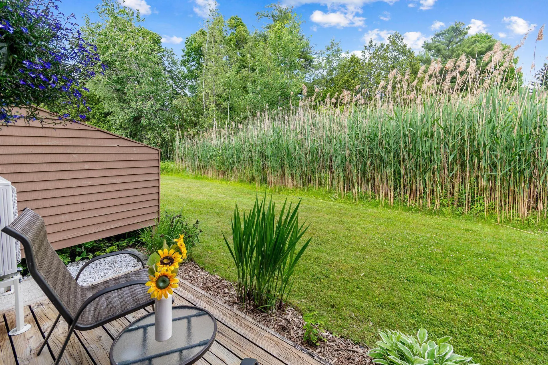 92 Hayes Avenue South Burlington VT 05403