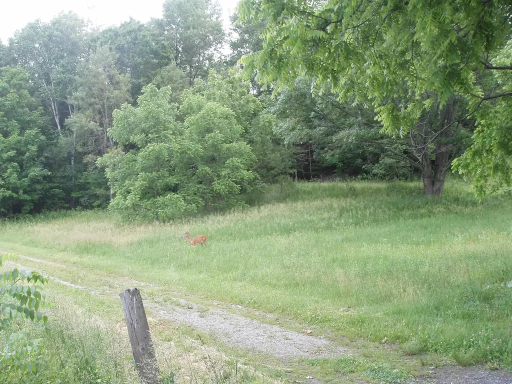 772 Kelley Hill Road Pawlet VT 05761-9707
