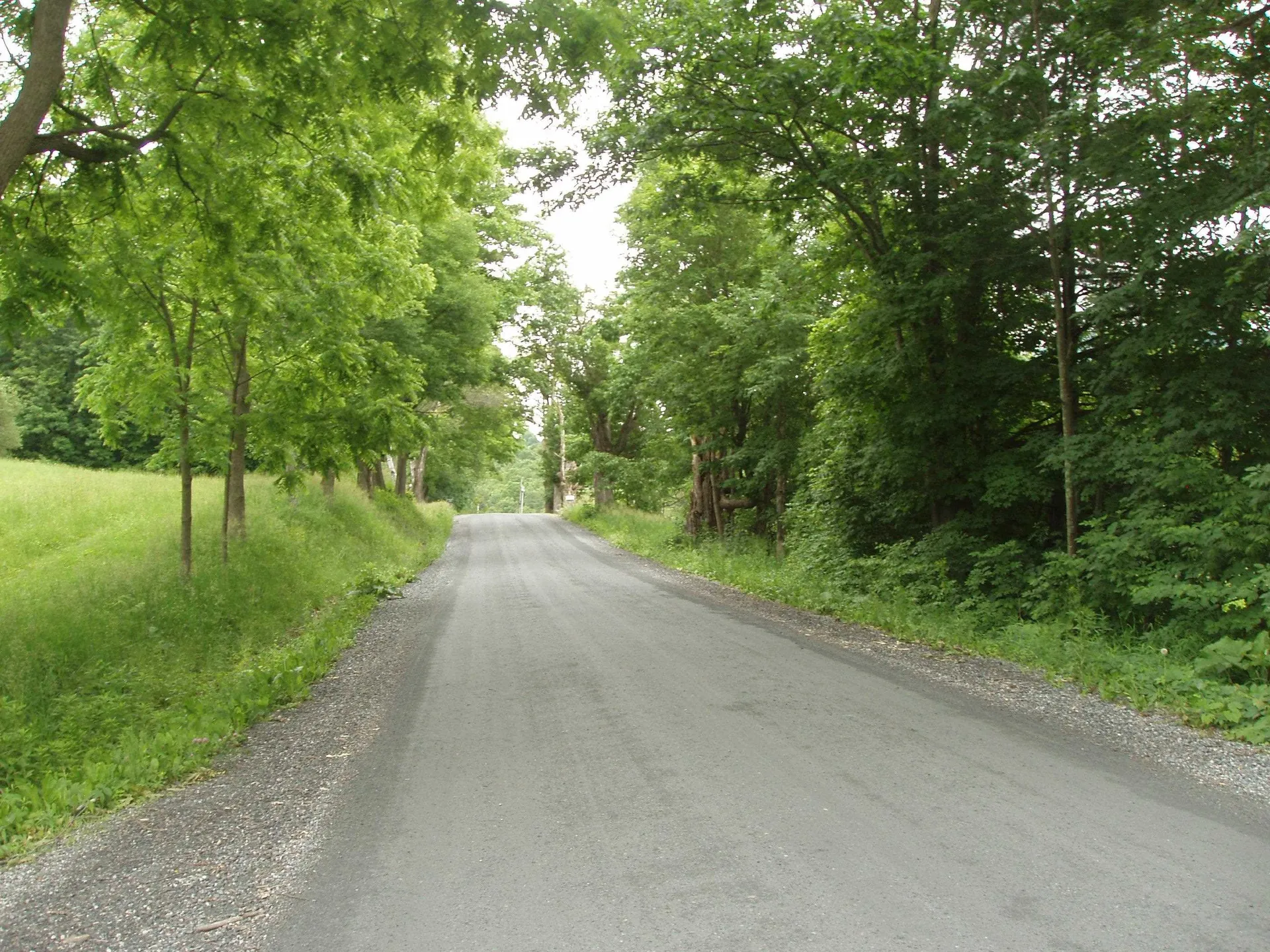 772 Kelley Hill Road Pawlet VT 05761-9707