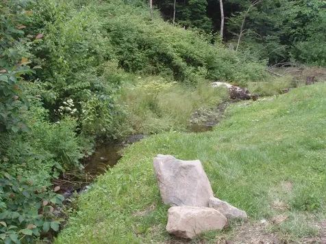 772 Kelley Hill Road Pawlet VT 05761-9707