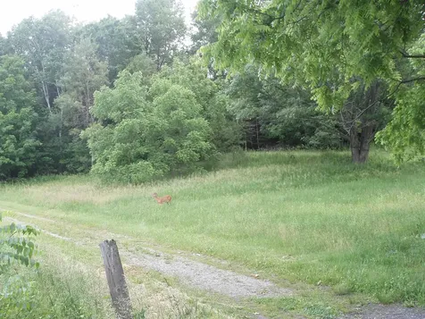 772 Kelley Hill Road Pawlet VT 05761-9707