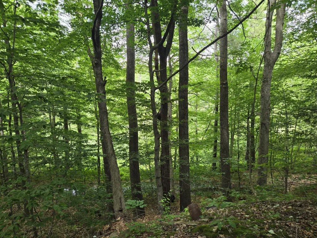208 Nh Route 3a Hill NH 03243