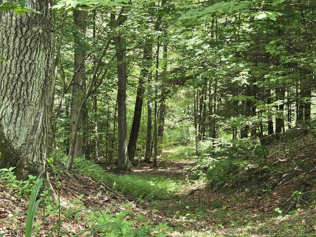 208 Nh Route 3a Hill NH 03243