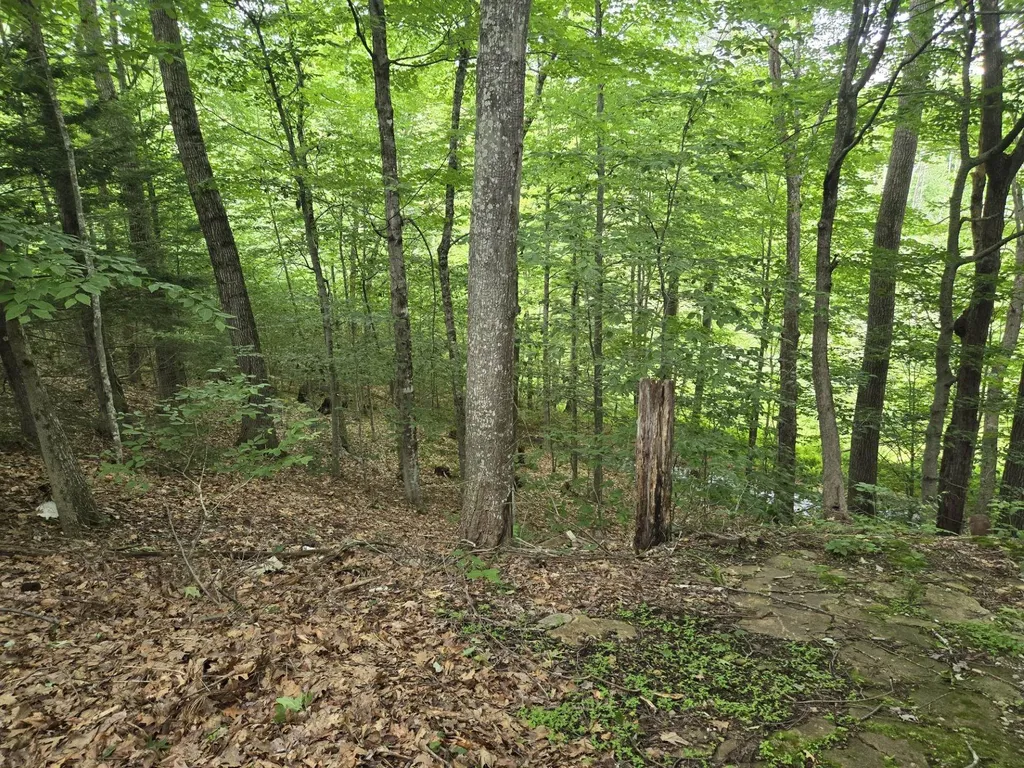 208 Nh Route 3a Hill NH 03243