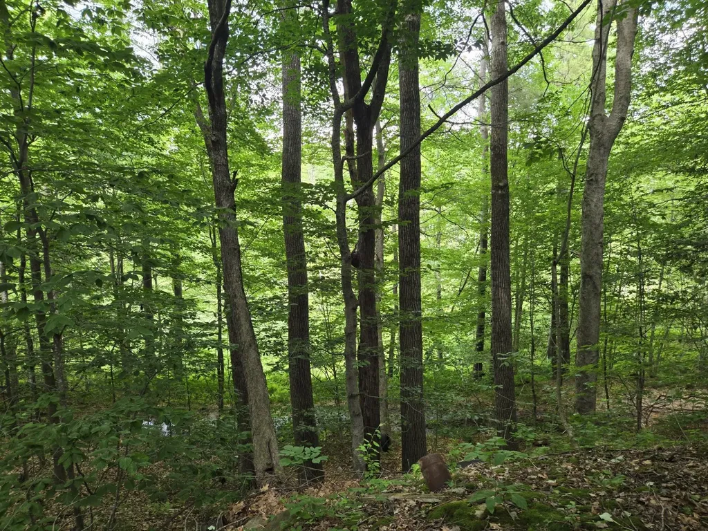 208 Nh Route 3a Hill NH 03243