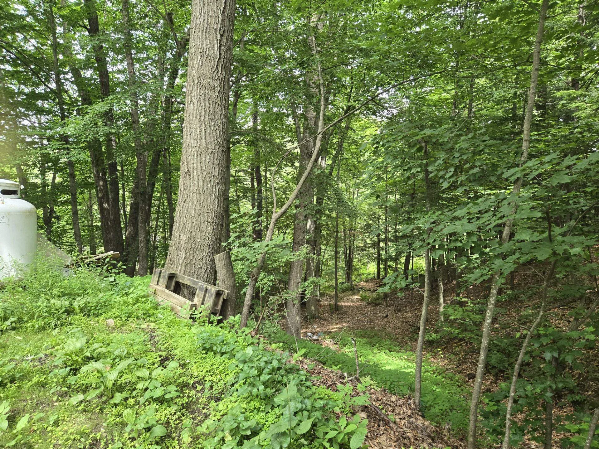208 Nh Route 3a Hill NH 03243