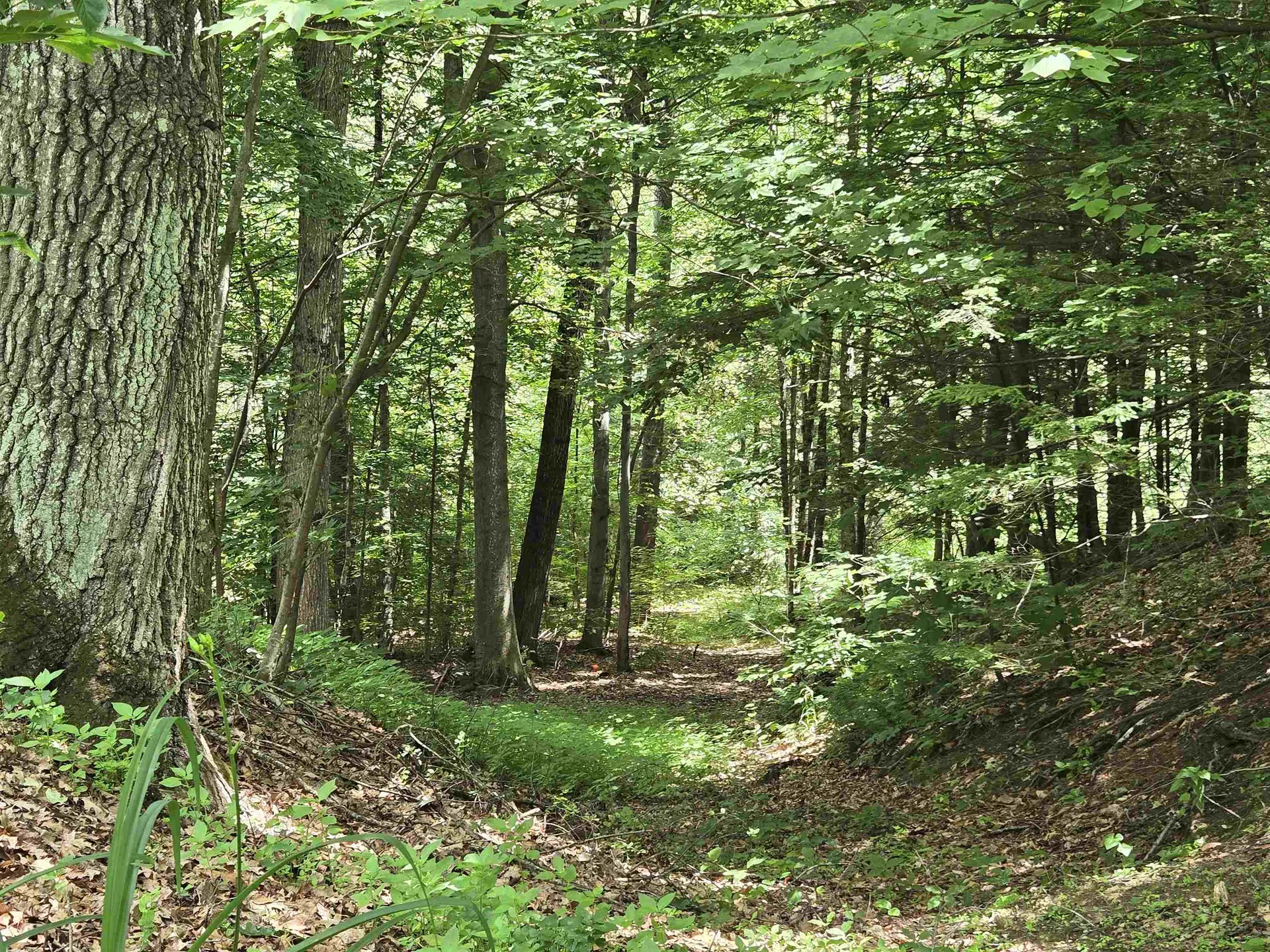 208 Nh Route 3a Hill NH 03243