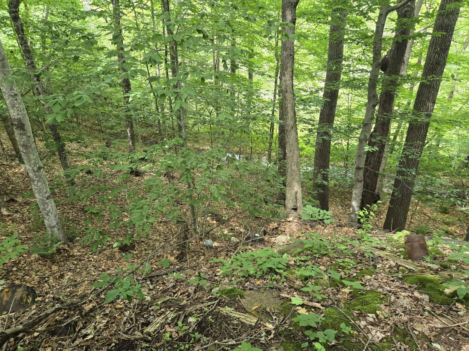 208 Nh Route 3a Hill NH 03243