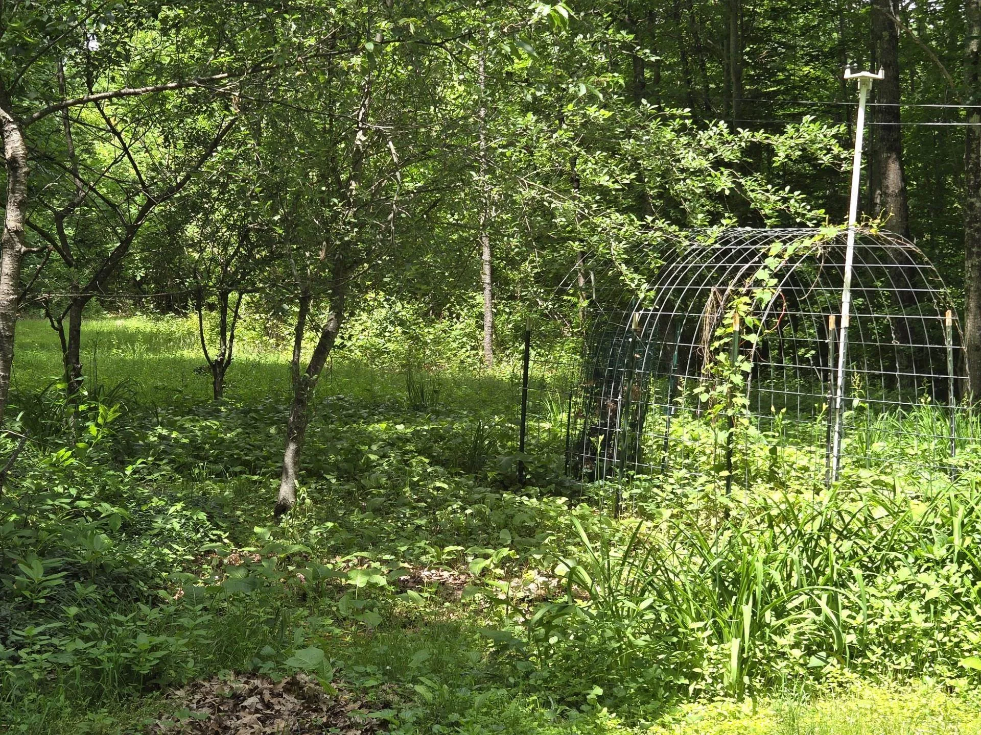 208 Nh Route 3a Hill NH 03243