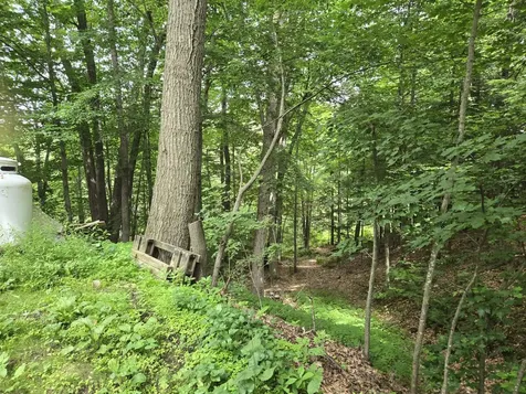 208 Nh Route 3a Hill NH 03243
