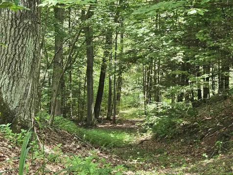 208 Nh Route 3a Hill NH 03243