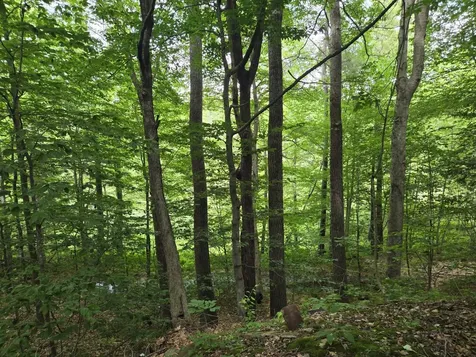 208 Nh Route 3a Hill NH 03243