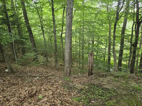 208 Nh Route 3a Hill NH 03243