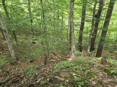 208 Nh Route 3a Hill NH 03243
