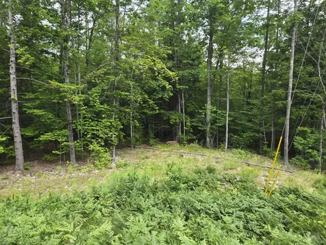 208 Nh Route 3a Hill NH 03243