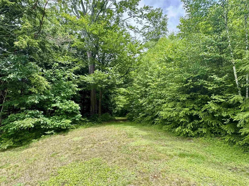 8062 Scotch Hollow Road Newbury VT 05051