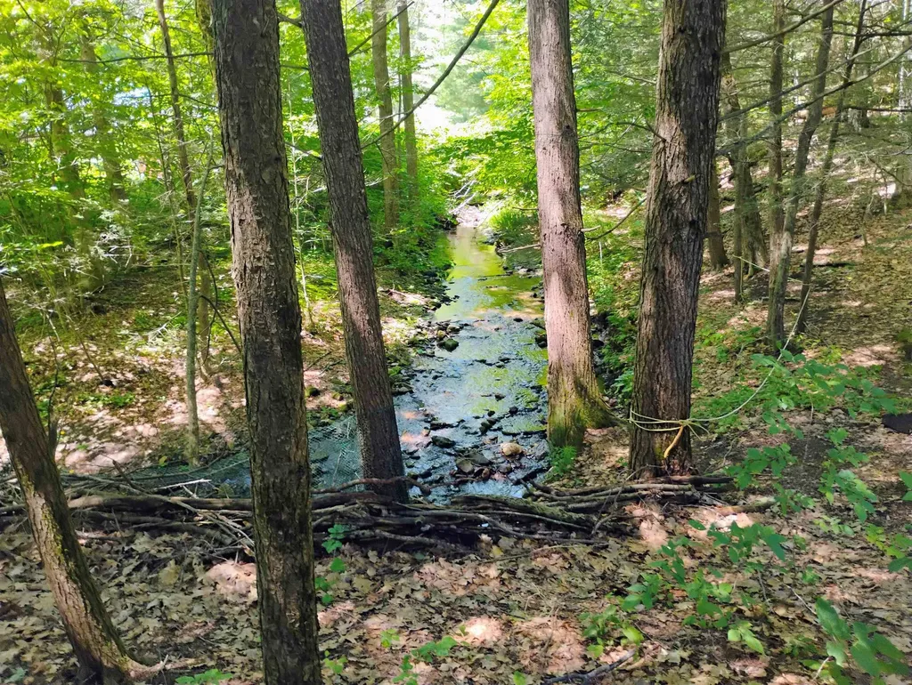 160 Akley Road Brattleboro VT 05301