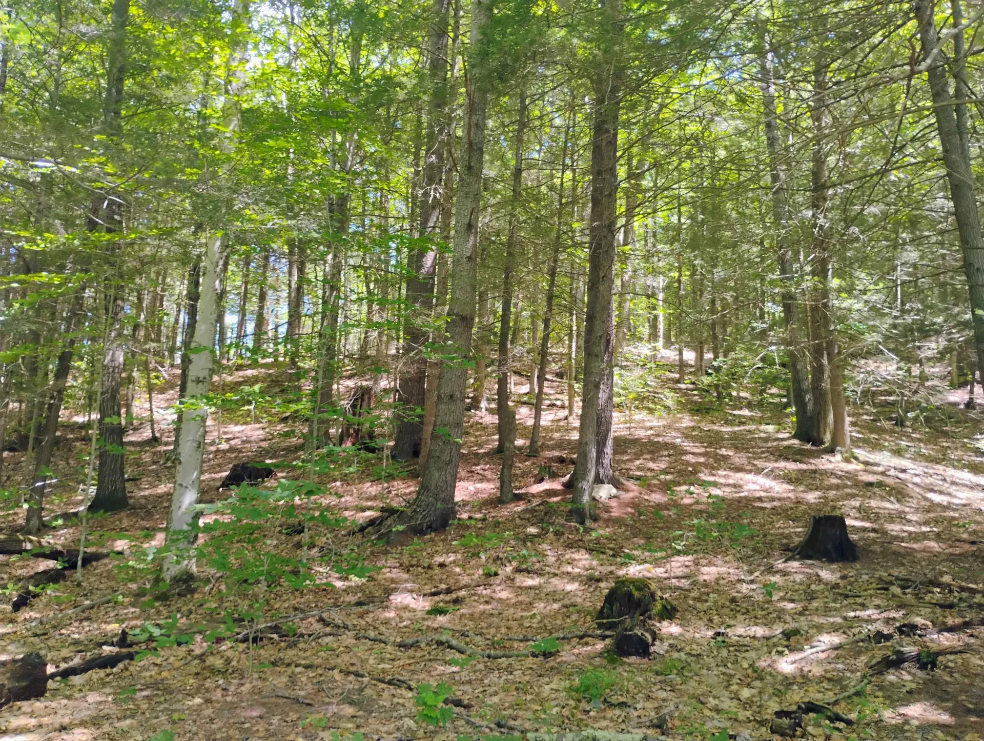 160 Akley Road Brattleboro VT 05301