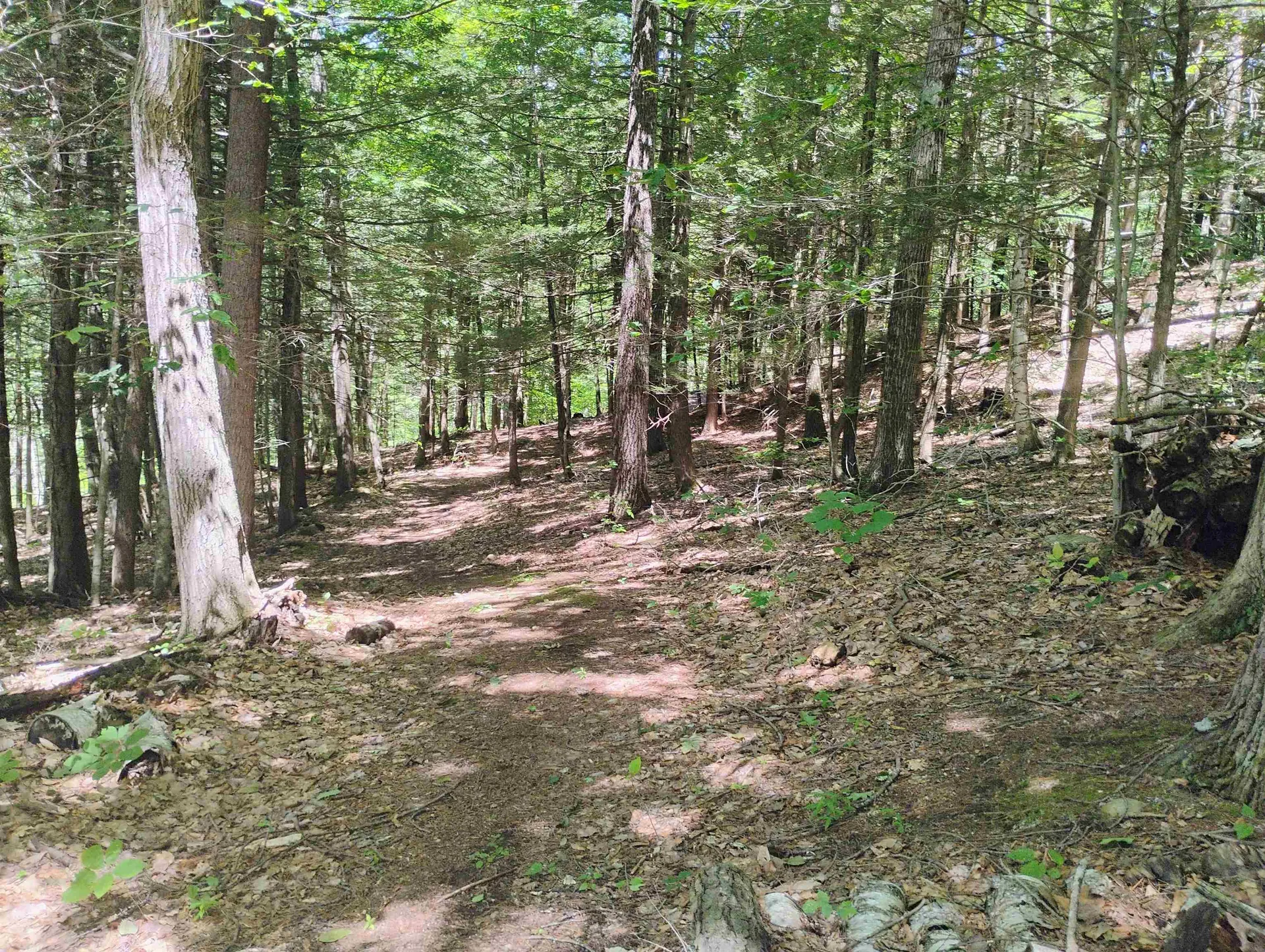 160 Akley Road Brattleboro VT 05301