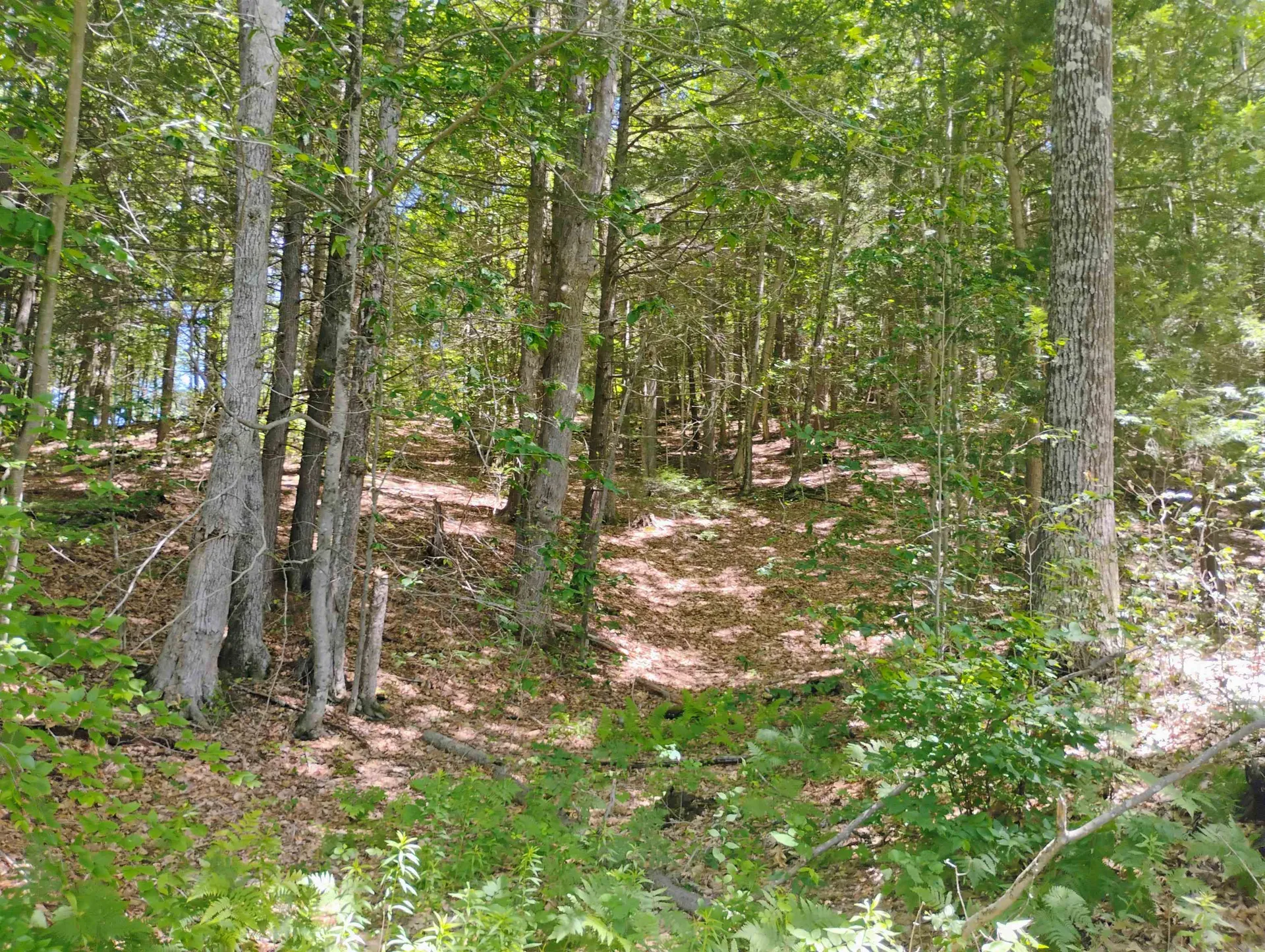 160 Akley Road Brattleboro VT 05301