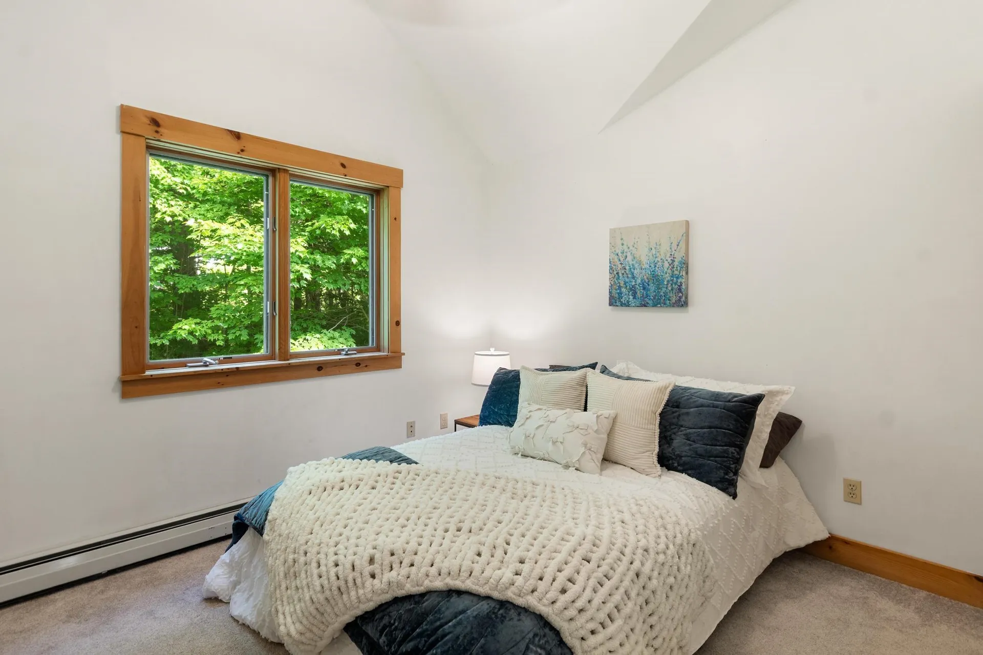 641 Warren Road Eden VT 05652