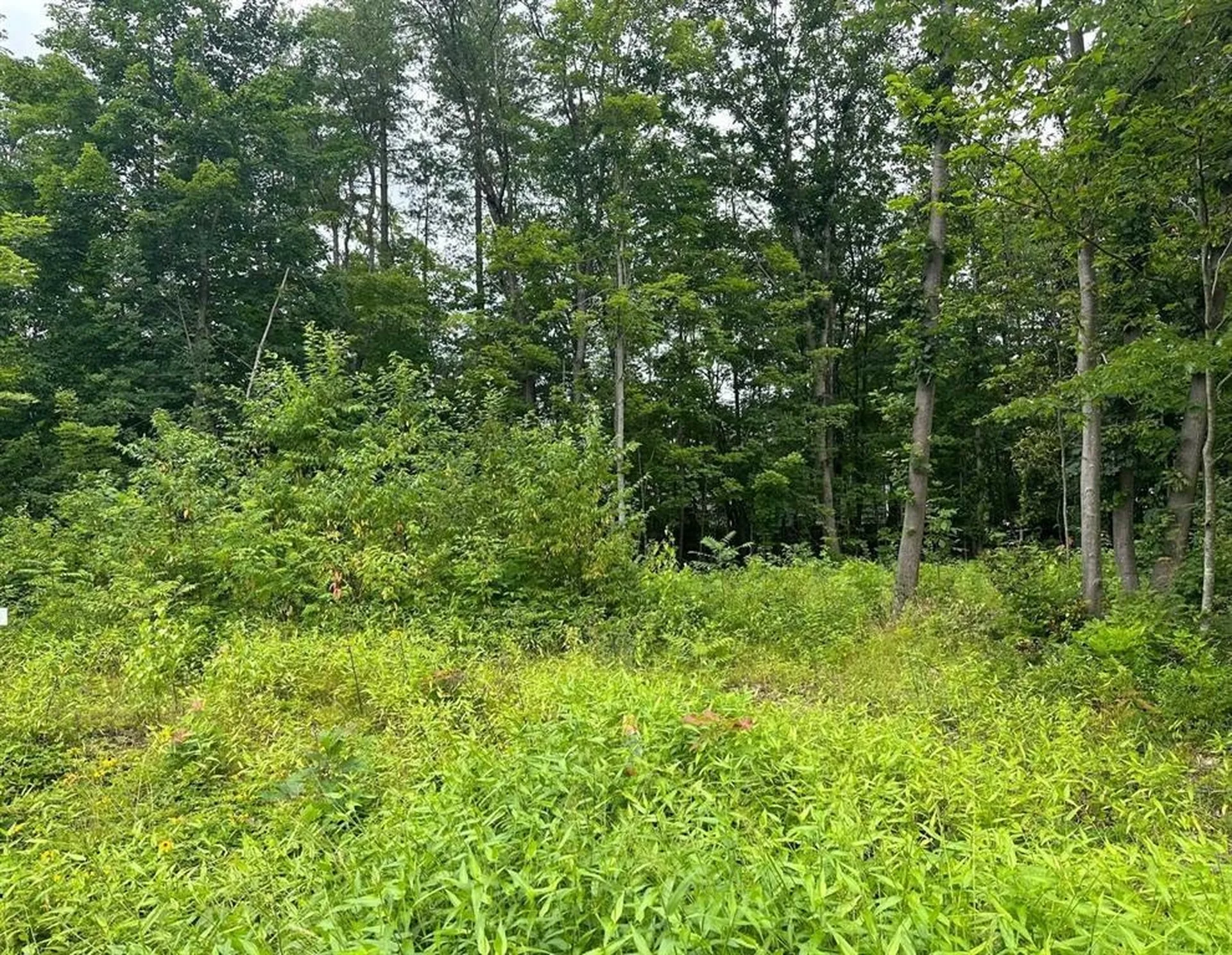 3 Profile Drive Woodstock NH 03262