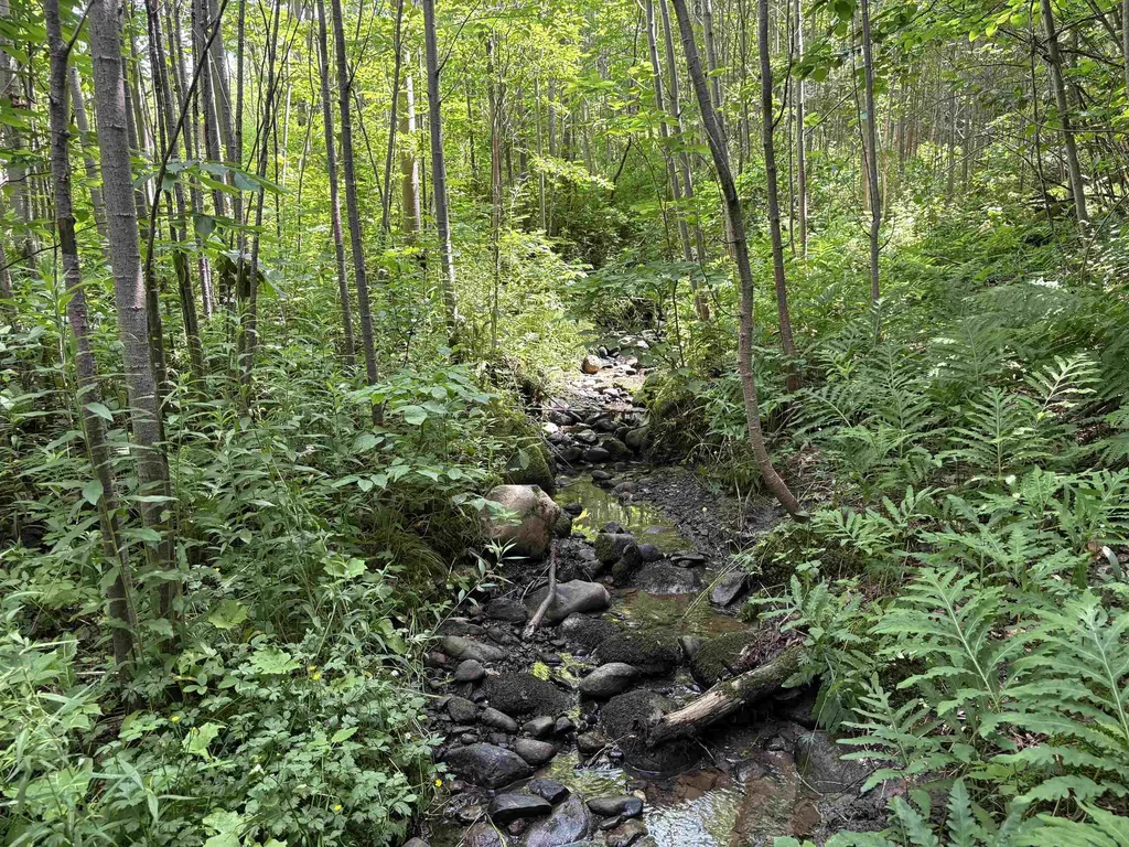 990 Bergeron Road Troy VT 05859