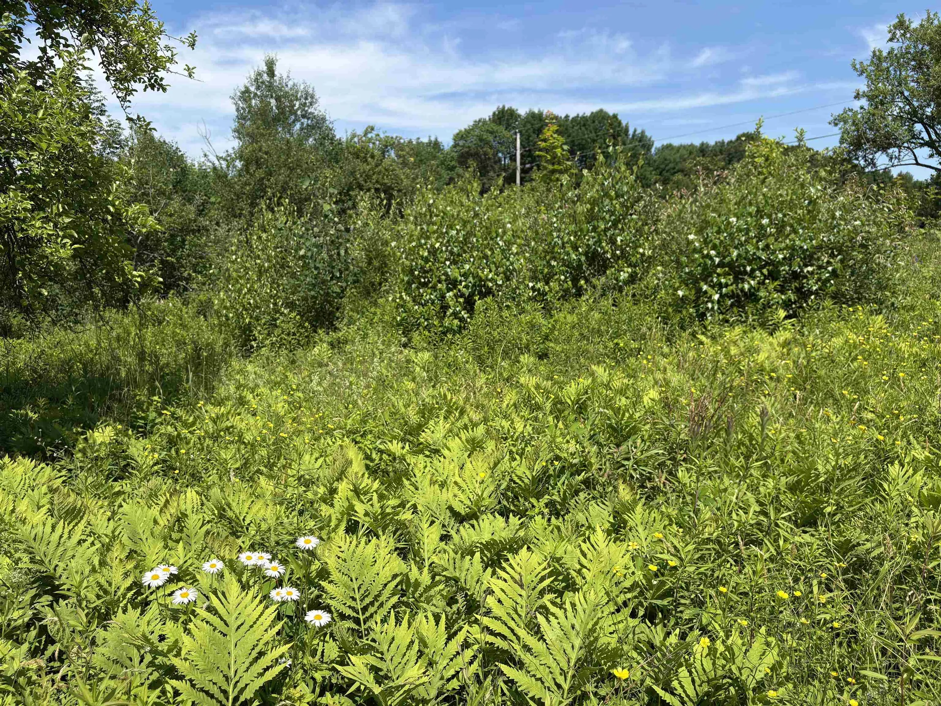 990 Bergeron Road Troy VT 05859