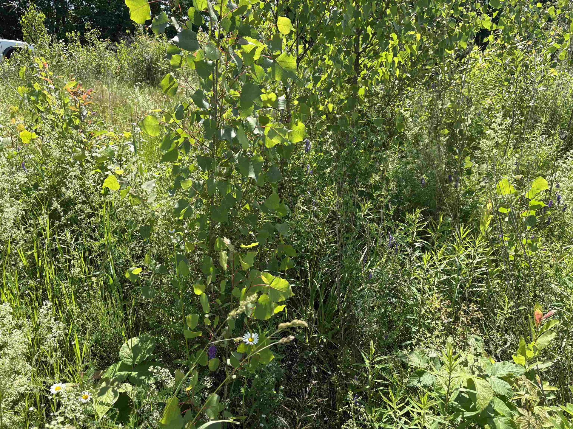 990 Bergeron Road Troy VT 05859